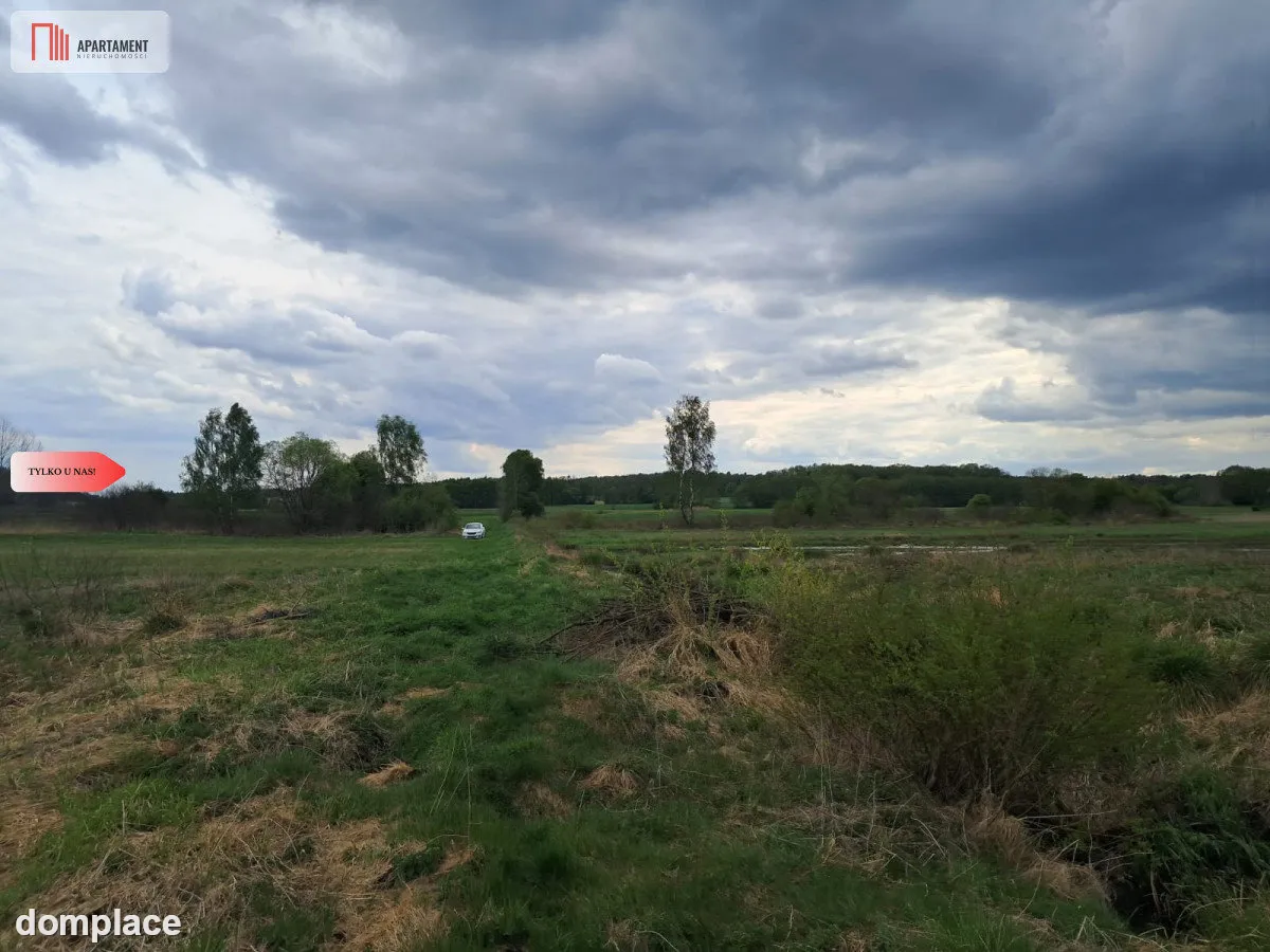 Działka 1,33 ha Nad rzeką WIERZYCA-LIPY-STRUGA! — zdjęcie 6