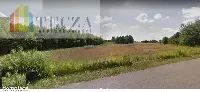 Działka — miński, Mrozy — zdjęcie 1