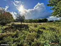 Działka|Inwestycyjna|Górzyno — zdjęcie 5