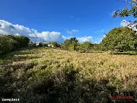 Działka|Inwestycyjna|Górzyno — zdjęcie 6