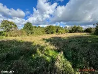 Działka|Inwestycyjna|Górzyno — zdjęcie 8