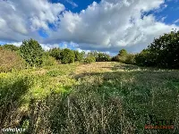 Działka|Inwestycyjna|Górzyno — zdjęcie 10