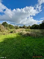 Działka|Inwestycyjna|Górzyno — zdjęcie 12