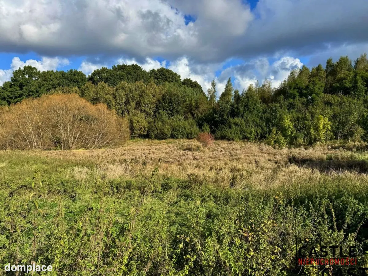 Działka|Inwestycyjna|Górzyno — zdjęcie 14
