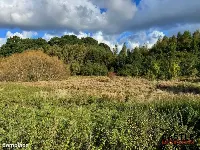 Działka|Inwestycyjna|Górzyno — zdjęcie 14