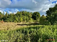 Działka|Inwestycyjna|Górzyno — zdjęcie 15
