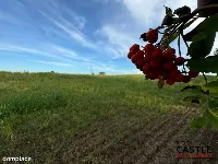 Inwestycyjna Działka|Chmielno|Kaszuby — zdjęcie 13