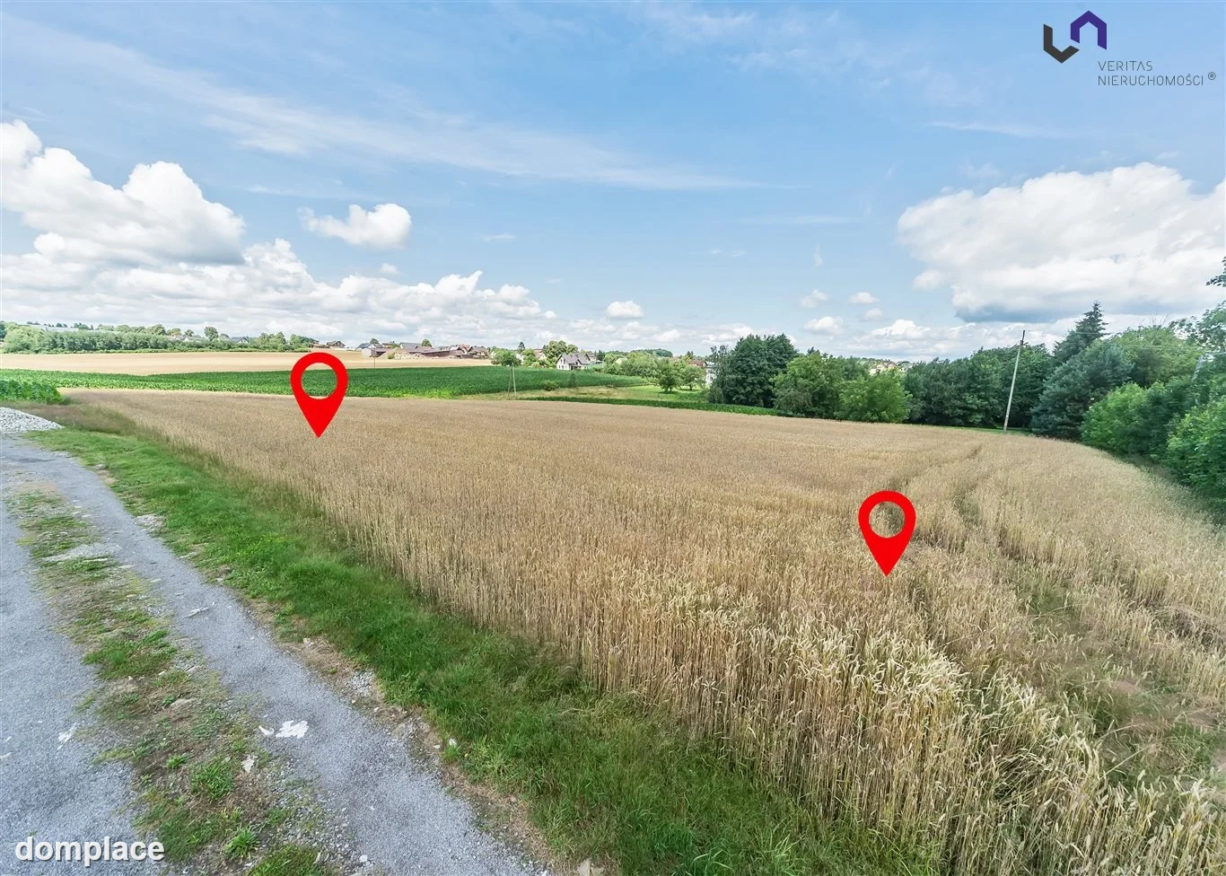 Działka — Rudzica — zdjęcie 5