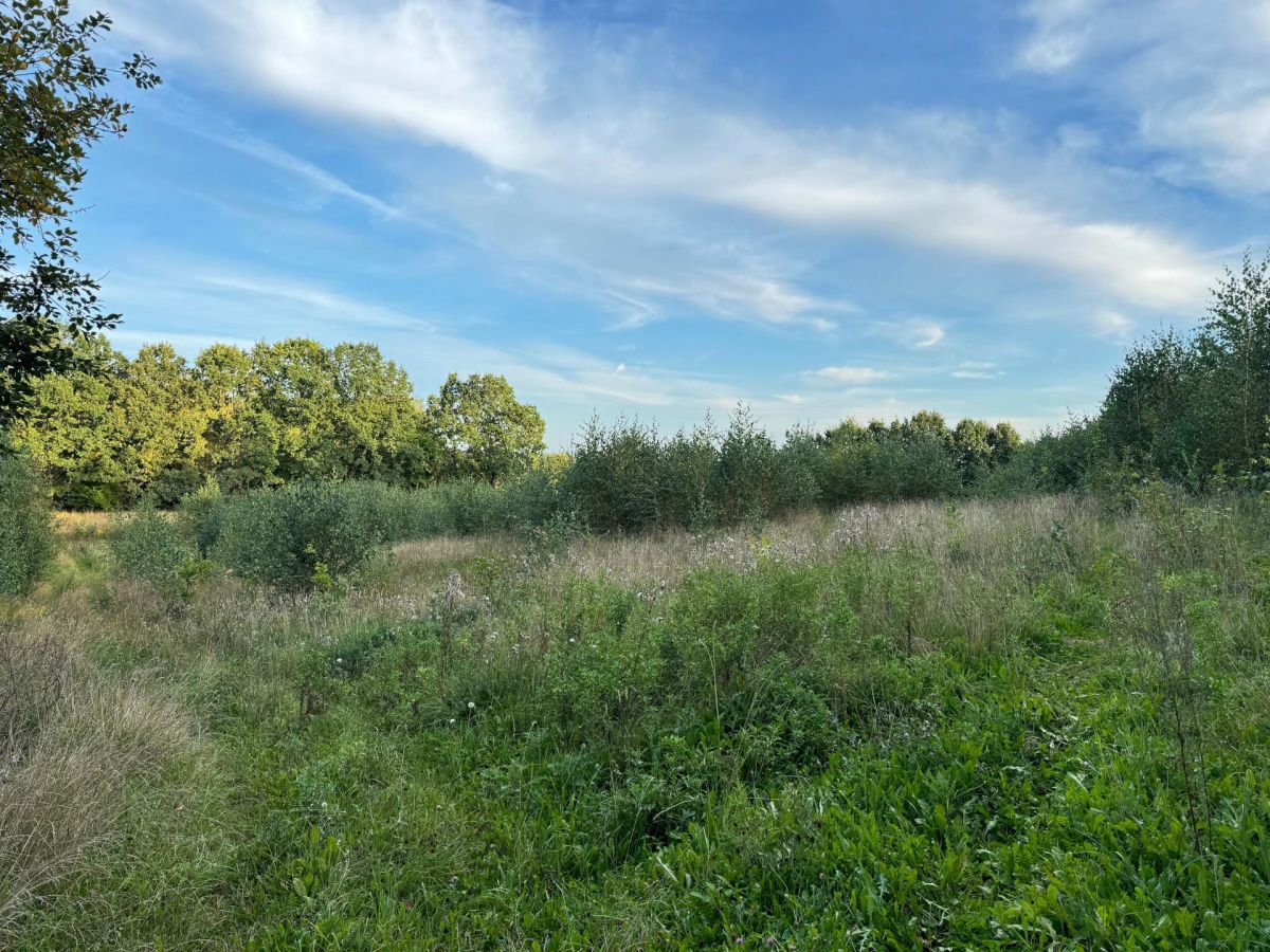 Działka (Budowlana)