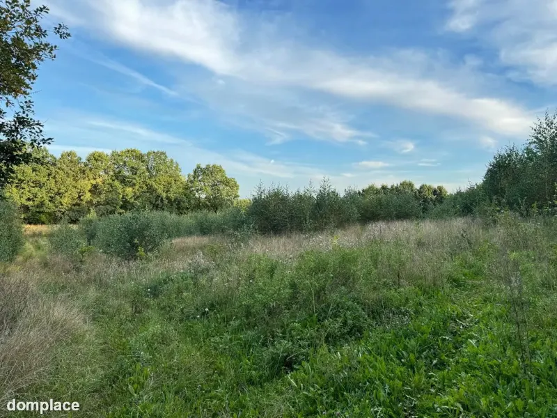 Działka (Budowlana)