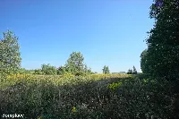Działka — Dąbrowa Górnicza, Błędów — zdjęcie 4