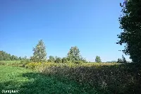 Działka — Dąbrowa Górnicza, Błędów — zdjęcie 5