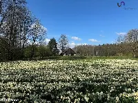 Działka — Gostyń — zdjęcie 13