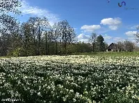 Działka — Gostyń — zdjęcie 14