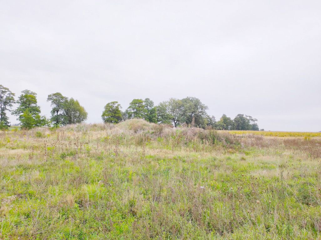 Działki pod budowę hali z biurem - inwestycja!
