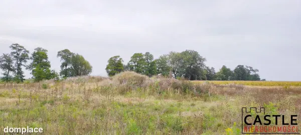 Działki pod budowę hali z biurem - inwestycja! — zdjęcie 2
