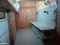 Hala/Magazyn — Katowice, Kostuchna — zdjęcie 5