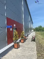 Hala/Magazyn — Rybnik — zdjęcie 7