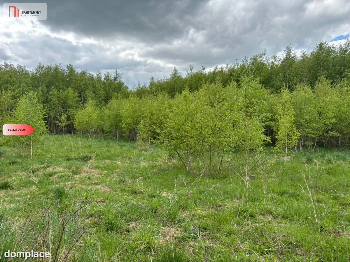 Działka Borcz 3069 m2 MPZP — zdjęcie 2