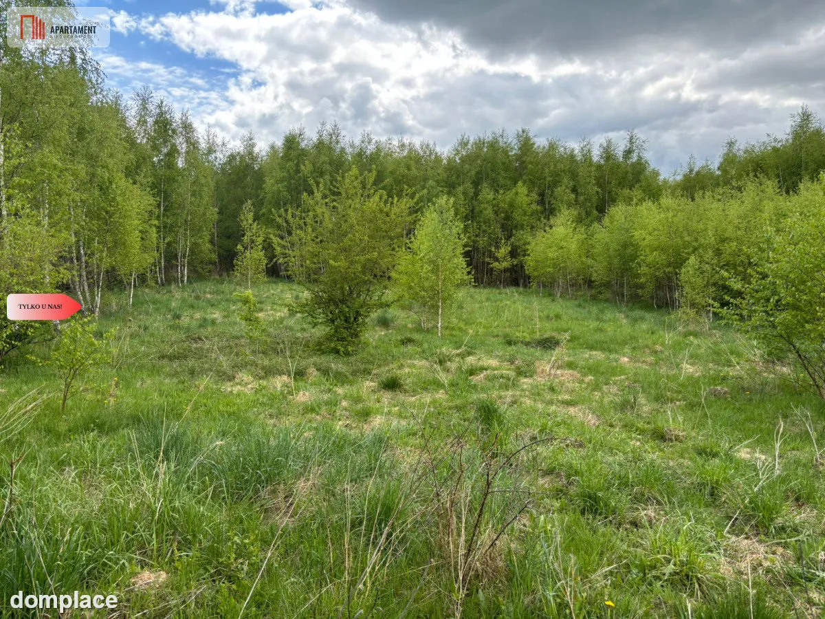 Działka Borcz 3069 m2 MPZP — zdjęcie 3