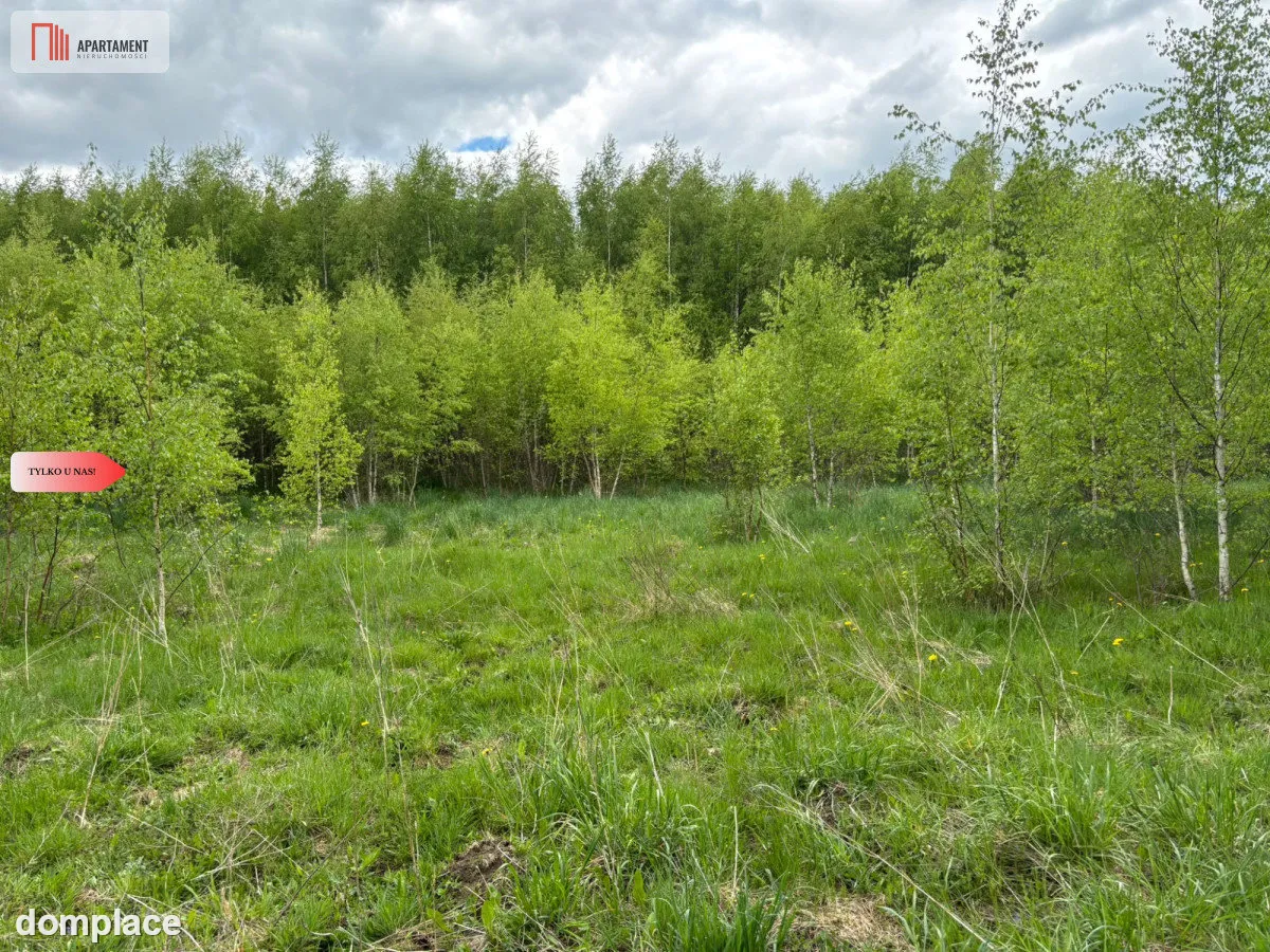 Działka Borcz 3069 m2 MPZP — zdjęcie 5