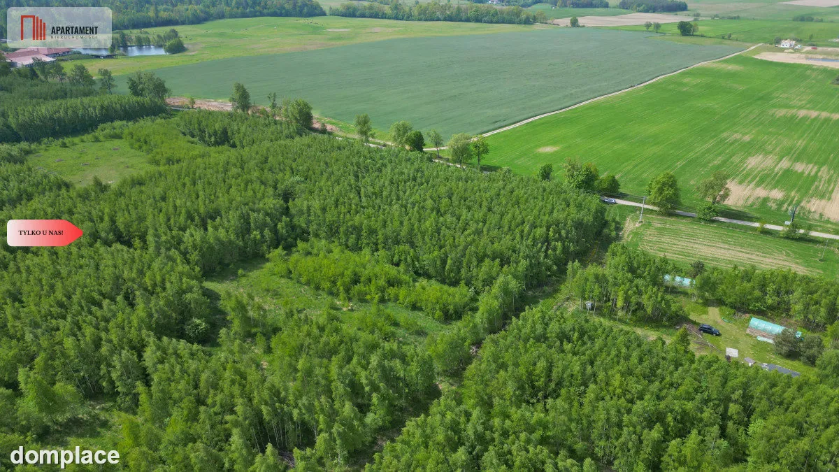 Działka Borcz 3069 m2 MPZP — zdjęcie 7
