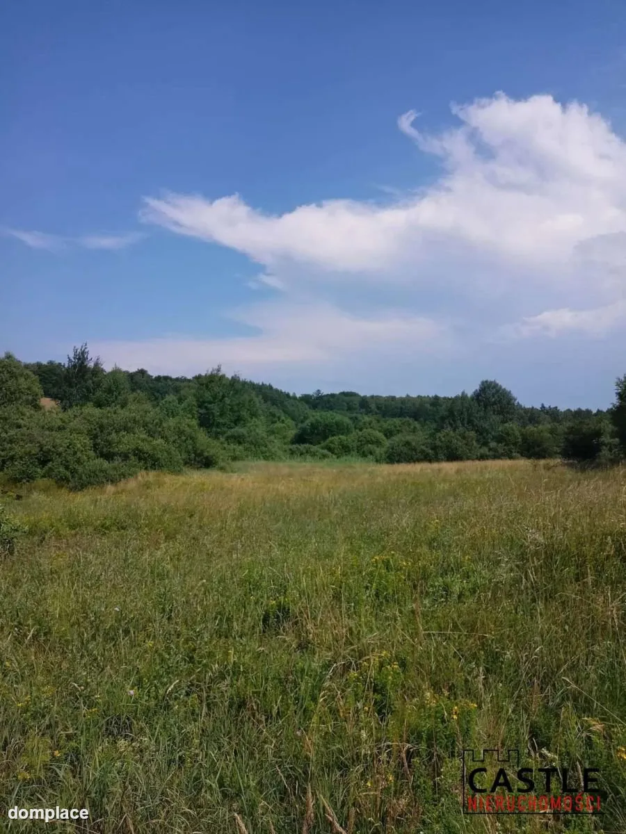 100 zł za 1m2 I Olszanka I pod budowę — zdjęcie 10
