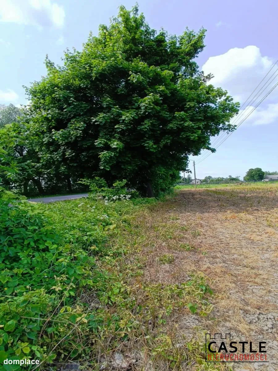 Działka pod inwestycję - 7km od morza, spokój! — zdjęcie 8