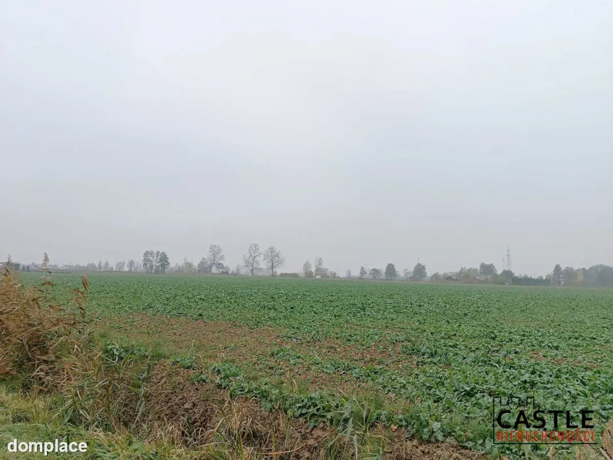 IKąty Rybackie I Zalew Wiślany I spokojna okolica — zdjęcie 9