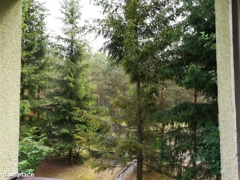 Domek letniskowy w magicznym miejscu na skraju lasu. — zdjęcie 15