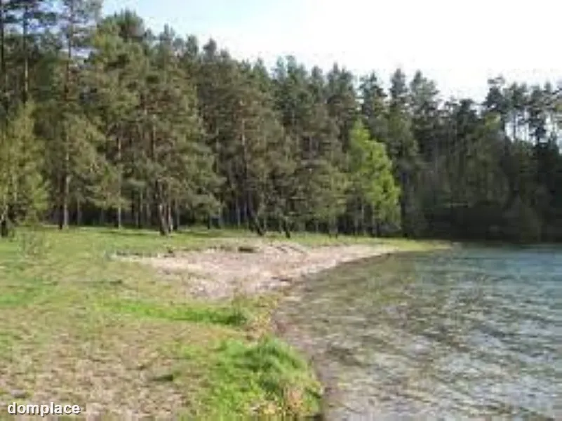 Domek letniskowy w magicznym miejscu na skraju lasu. — zdjęcie 14