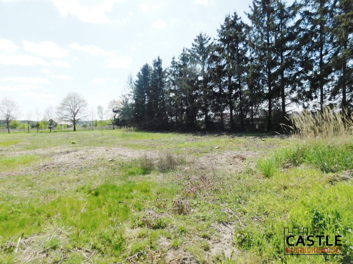 Zamieszkaj w sąsiedztwie lasu!