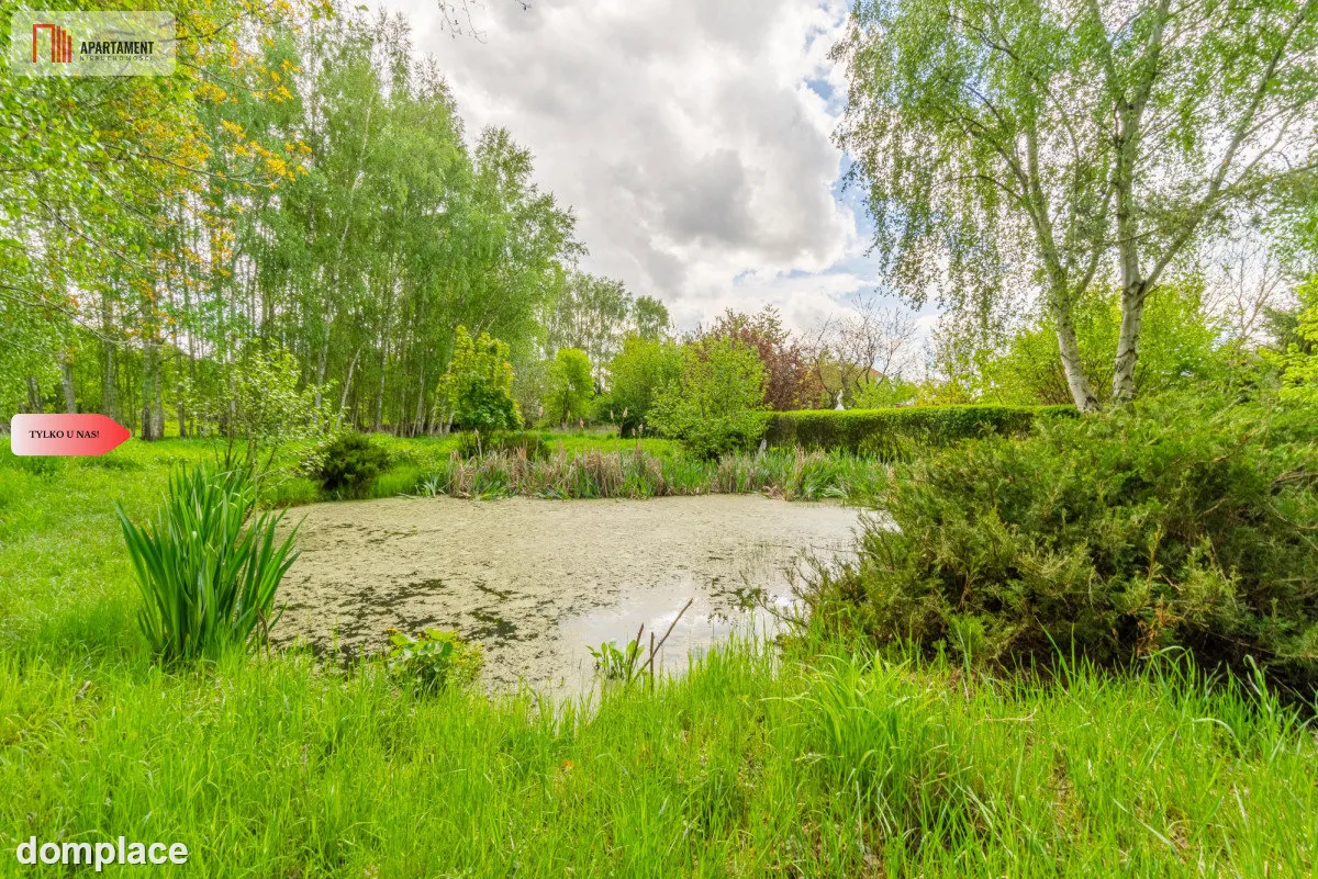 Dom Więcbork ogród, staw, jezioro, las — zdjęcie 20