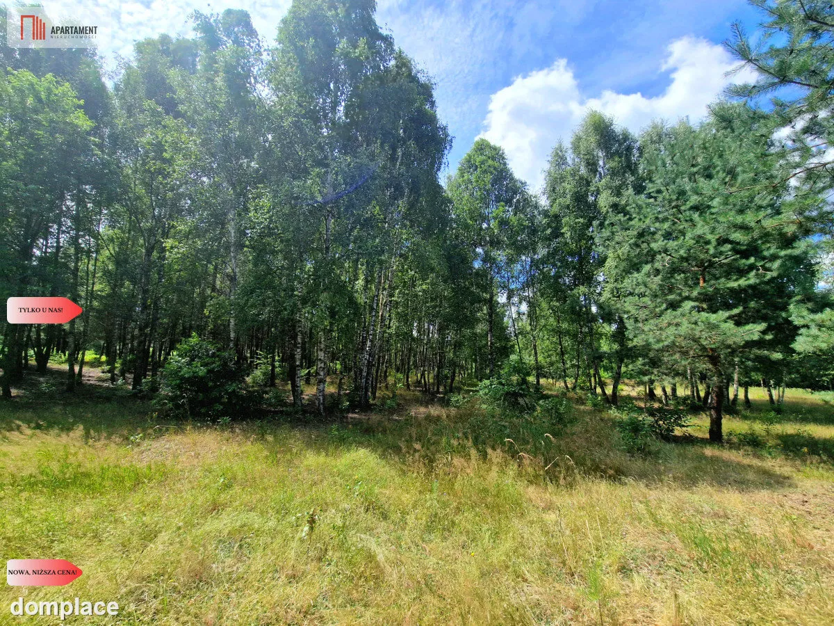 Działki budowlane w lesie blisko Poznania! — zdjęcie 4