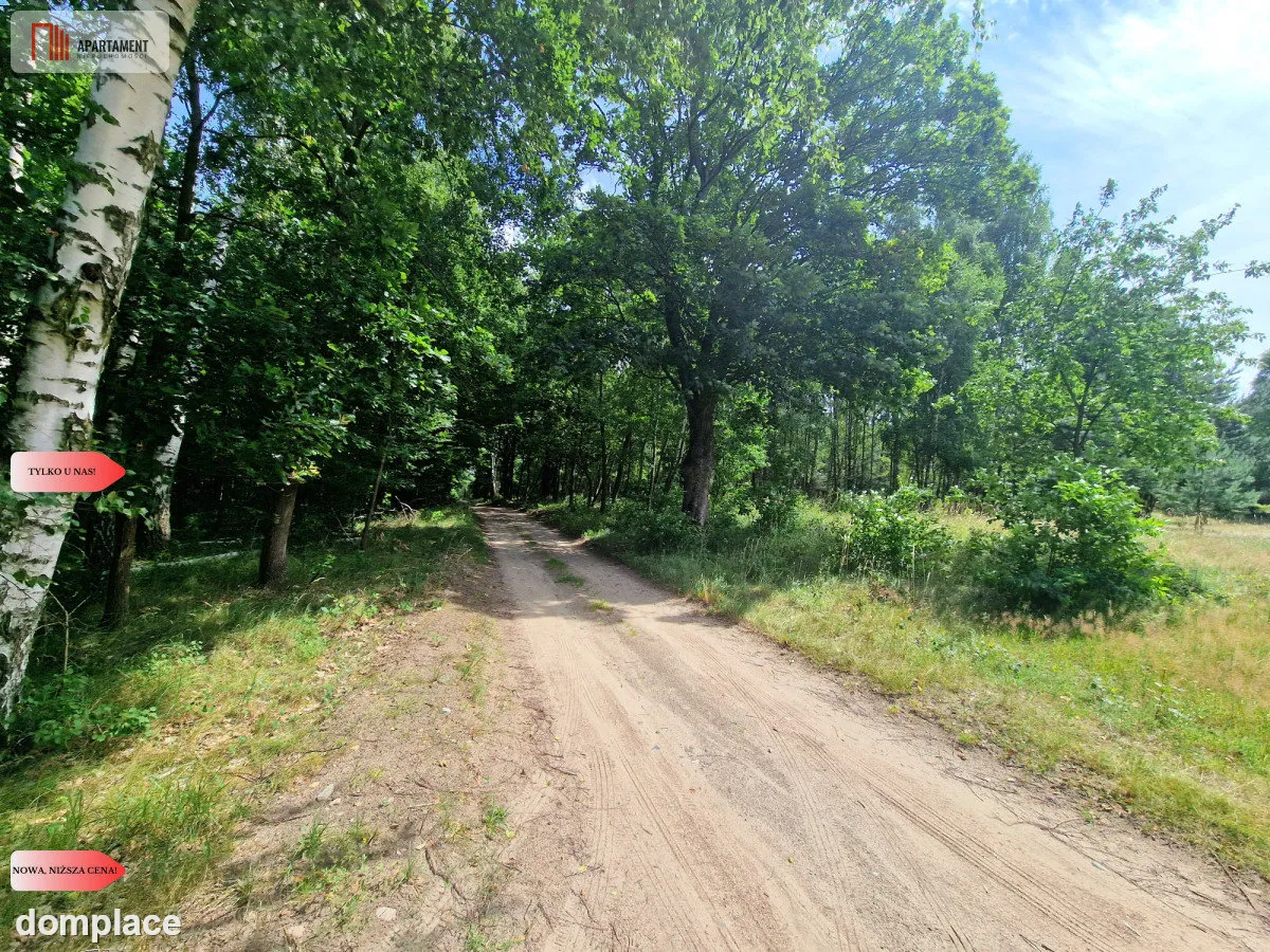 Działki budowlane w lesie blisko Poznania! — zdjęcie 8