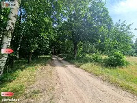 Działki budowlane w lesie blisko Poznania! — zdjęcie 1
