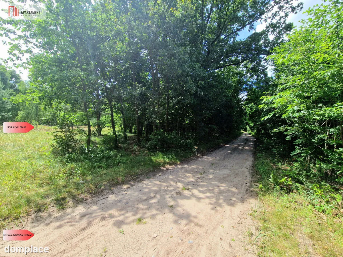 Działki budowlane w lesie blisko Poznania! — zdjęcie 10