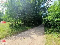 Działki budowlane w lesie blisko Poznania! — zdjęcie 10