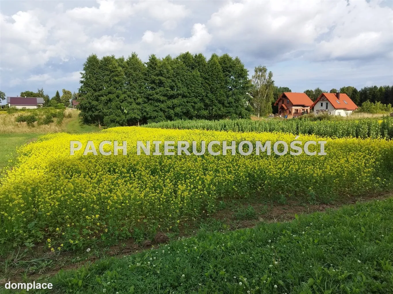 Działka — Bestwina — zdjęcie 2