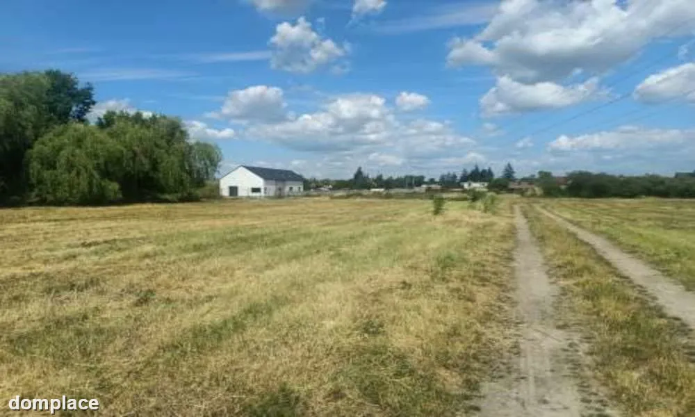 Duża działka MPZP — zdjęcie 5