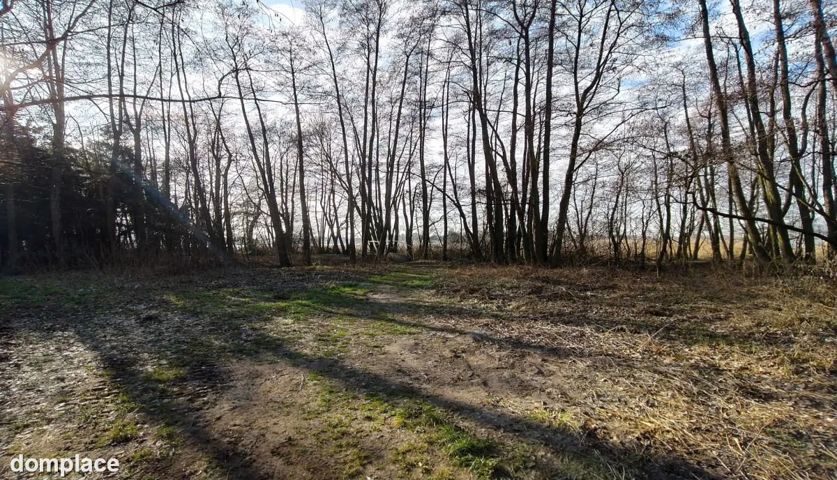Działka nad jeziorem. — zdjęcie 13