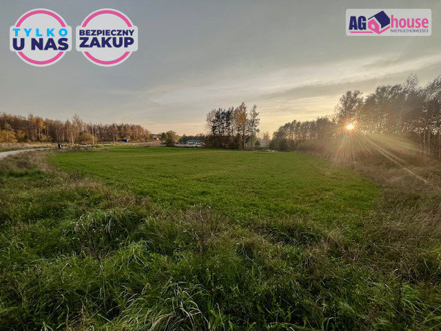 Duża, uzbrojona działka 2346 m² w Pomlewie !