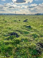 Oaza spokoju| Działki Redzie — zdjęcie 6