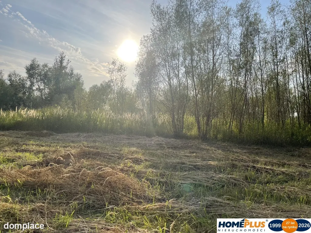 Działka 2,5 ha Dąbrówka, blisko S8, media, MPZP