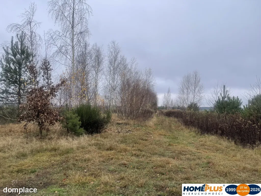 Działka 6443 m² z mediami przy asfaltowej drodze.