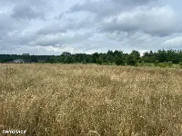Działki budowlane z WZ, w zielonej części Poznania — zdjęcie 1