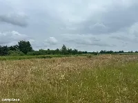 Działki budowlane z WZ, w zielonej części Poznania — zdjęcie 2