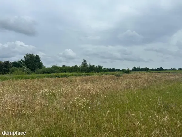 Działki budowlane z WZ, w zielonej części Poznania — zdjęcie 2