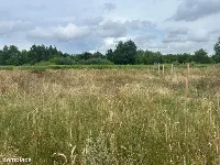 Działki budowlane z WZ, w zielonej części Poznania — zdjęcie 3
