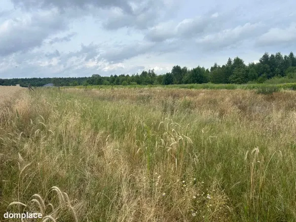 Działki budowlane z WZ, w zielonej części Poznania — zdjęcie 5